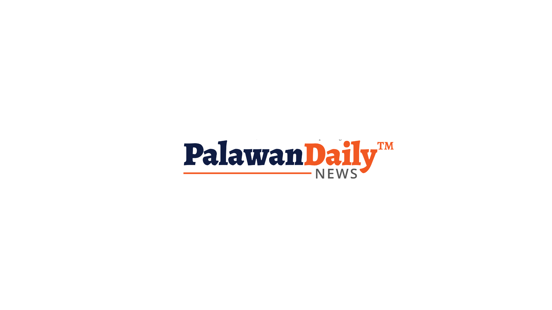 PDN Logo
